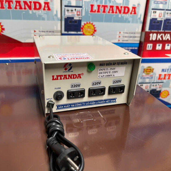 Bien-ap-1000va-vao-254v-ra-220v-3