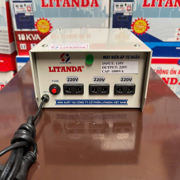 Doi-nguon-1000va-vao-110v-ra-220v-1