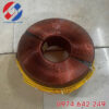 nhan-quan-bien-ap-xuyen