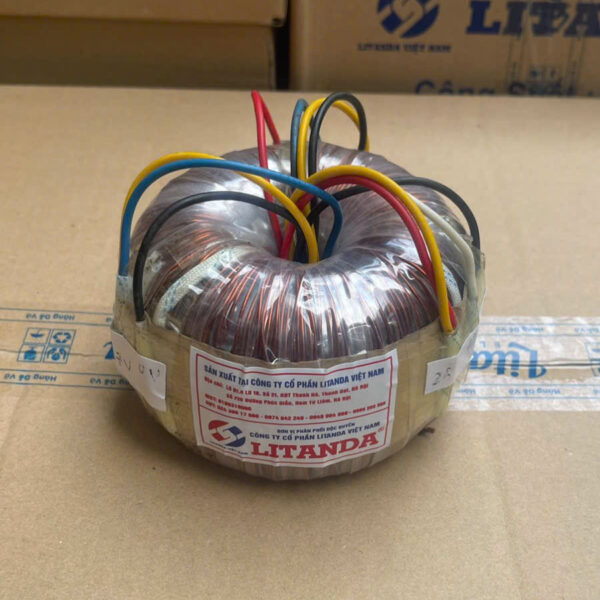 bien-ap-tran-250a-2