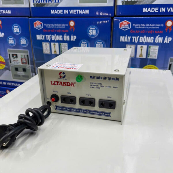 bien-ap-tu-ngau-litanda-1-pha-3000va-dn030-2